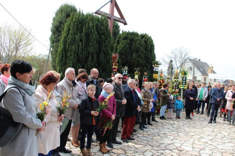 Niedziela Palmowa w Piotrowicach