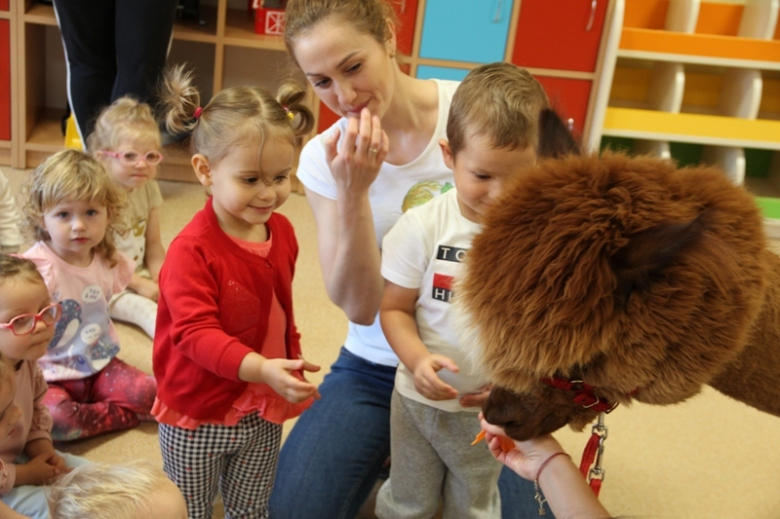 Żłobek "Wesołe Skrzaty" odwiedziły dwie sympatyczne alpaki