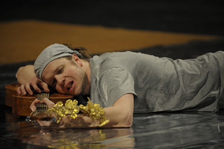 PPA 2012 - spektaklu Off - Safari zebra