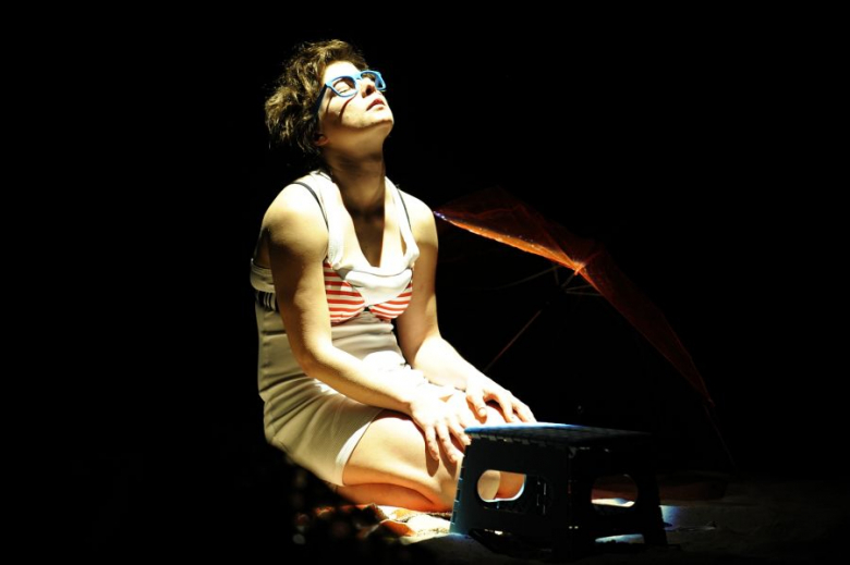 PPA 2012 - spektaklu Off - Safari zebra