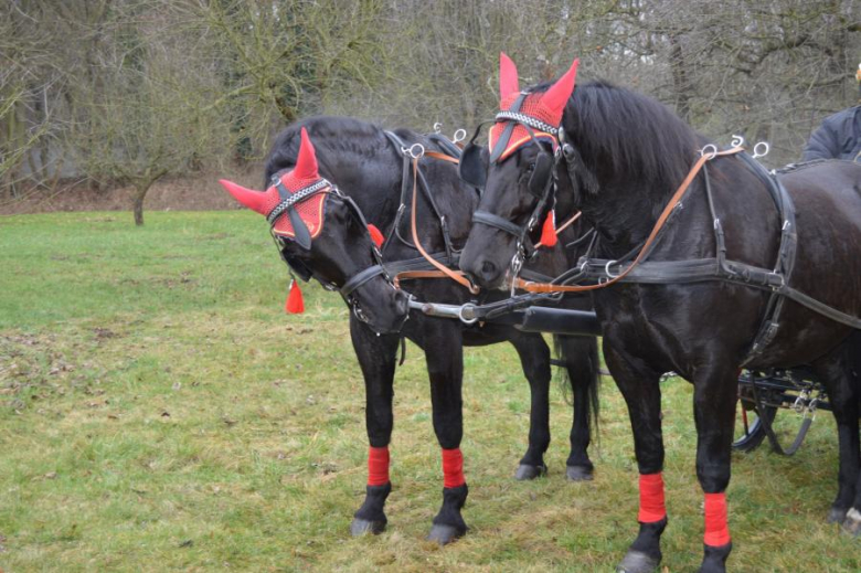 Orszak Trzech Króli w Szczepanowie