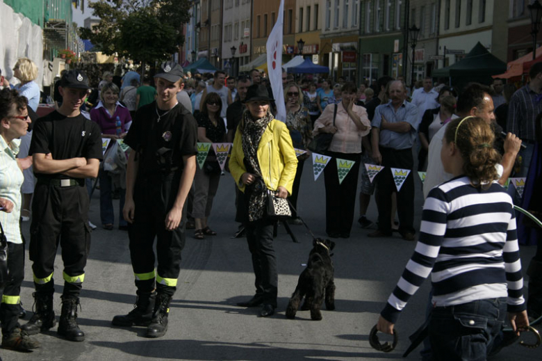 Turniej Gmin w Środzie Śląskiej