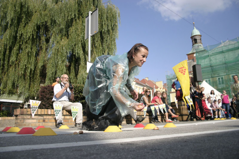 Turniej Gmin w Środzie Śląskiej