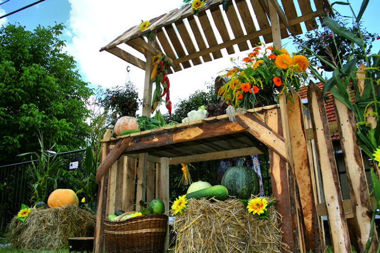 Dożynki Wojewódzkie w Kamieńcu Ząbkowickim