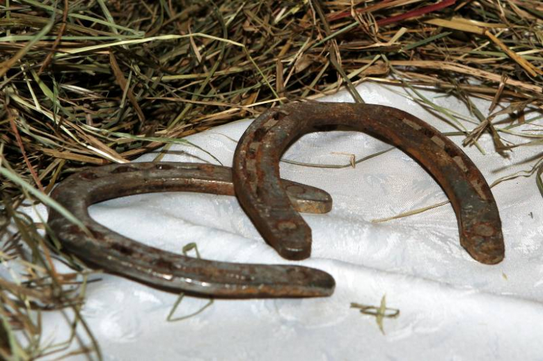 Siano na siano - koncert charytatywny w Środzie Śląskiej