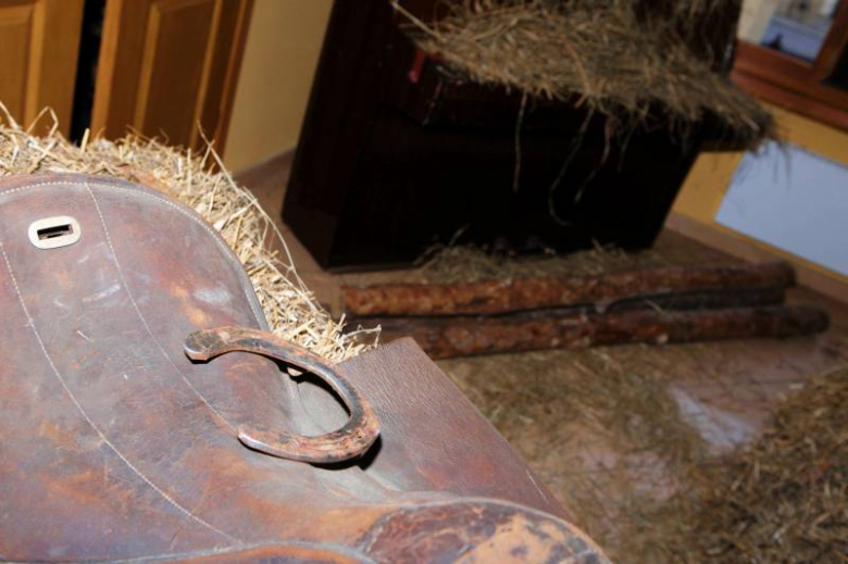 Siano na siano - koncert charytatywny w Środzie Śląskiej