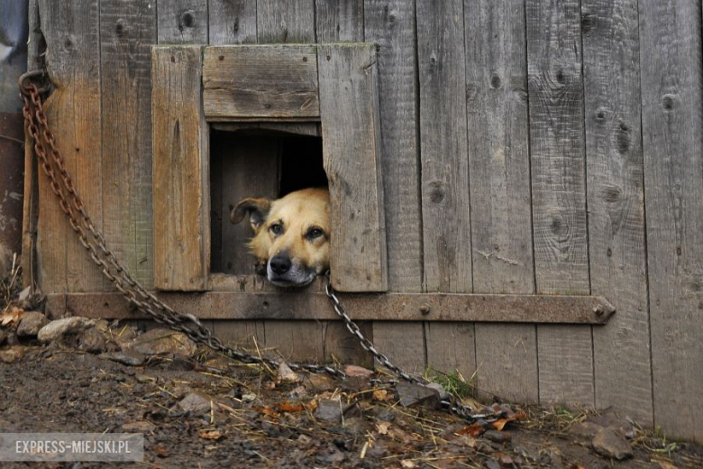 7 runda Rajdowych Samochodowych Mistrzostw Polski