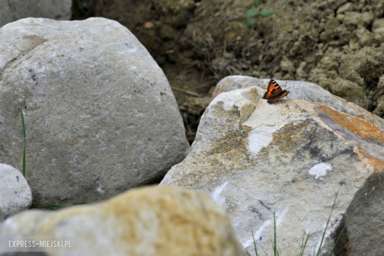 Testy teamu Kuchar-Dymurski