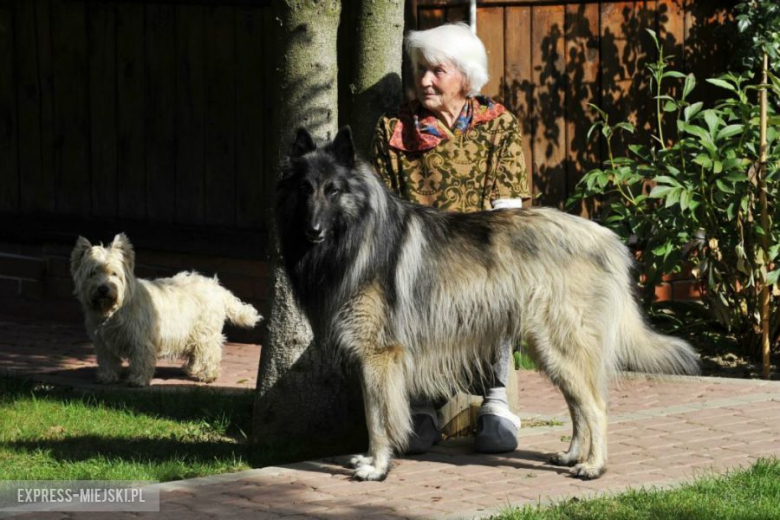 Rajd Nadwiślański 2014