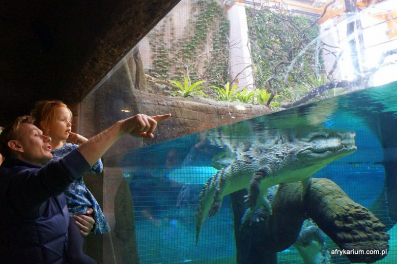 Sebastian Mila we wrocławskim zoo