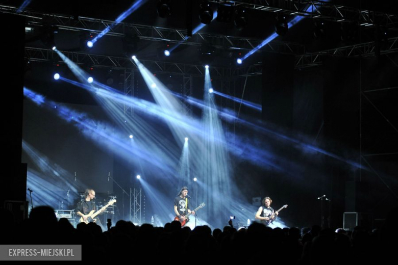 wROCK for Freedom – Sheep