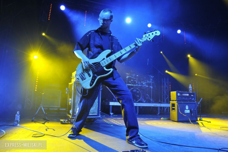 wROCK for Freedom – Sheep