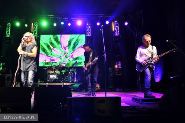 wROCK for Freedom – Perfect