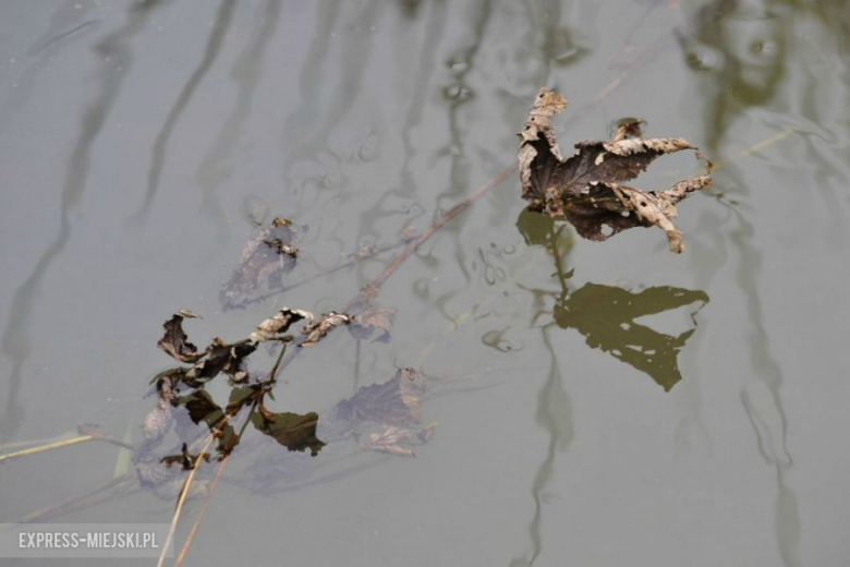 40 Rajd Cieszyńska Barbórka