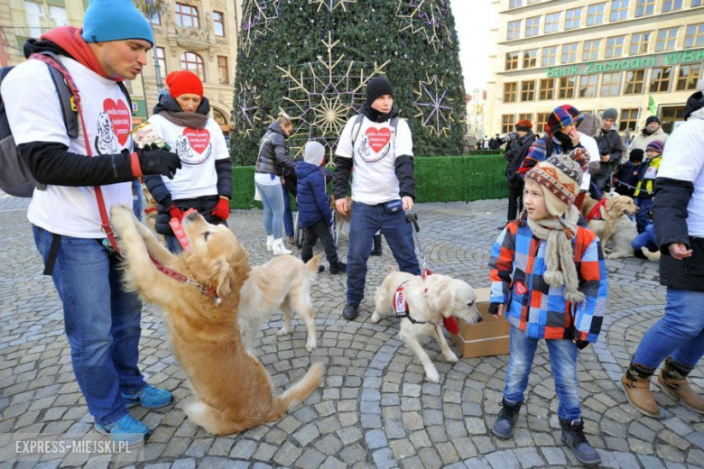 WOŚP 2015 we Wrocławiu