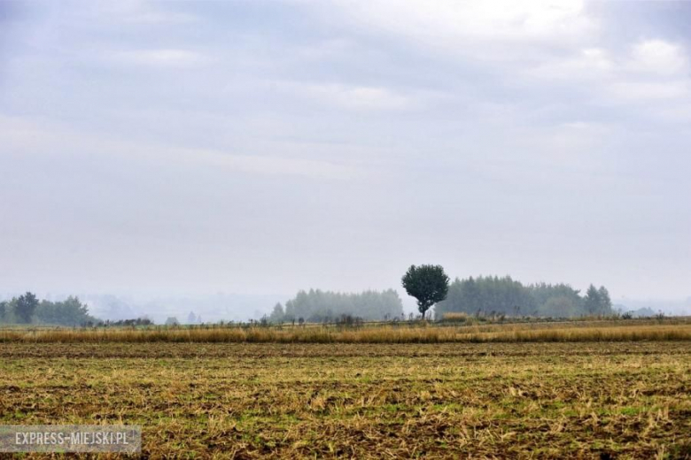 Rajd Nadwiślański 2015