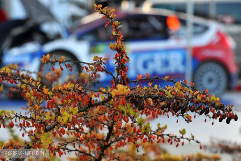 Rajd Nadwiślański 2015