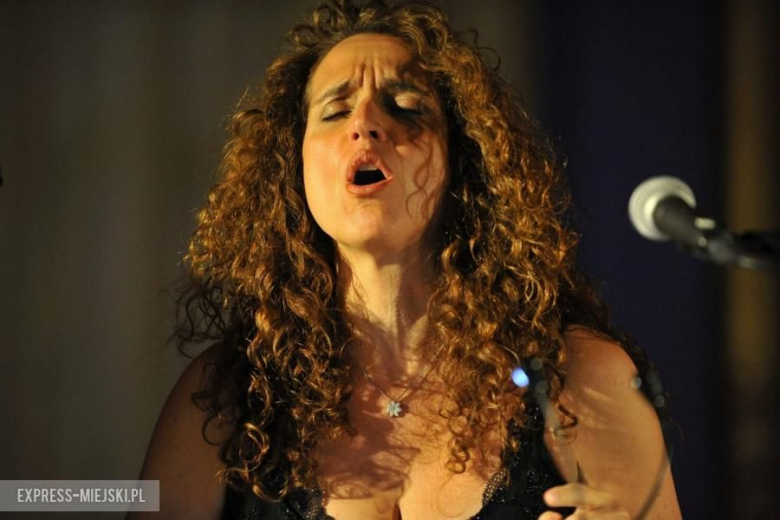 Festiwal Gitara+ 2015