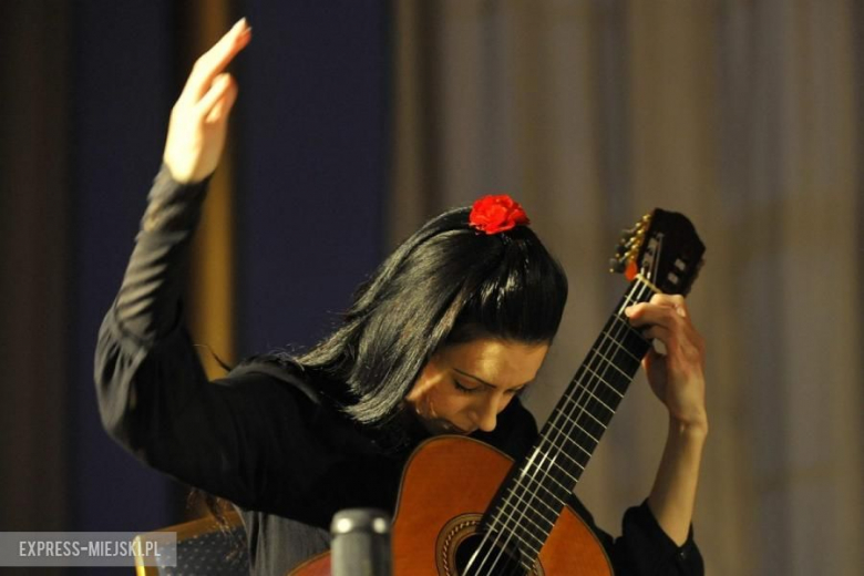 Festiwal Gitara+ 2015