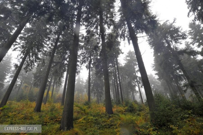 49. Rajd Dolnośląski