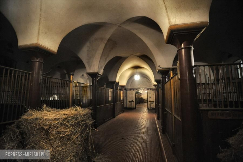 Zdjęcia do serialu Komisja morderstw w Stadninie koni Książ