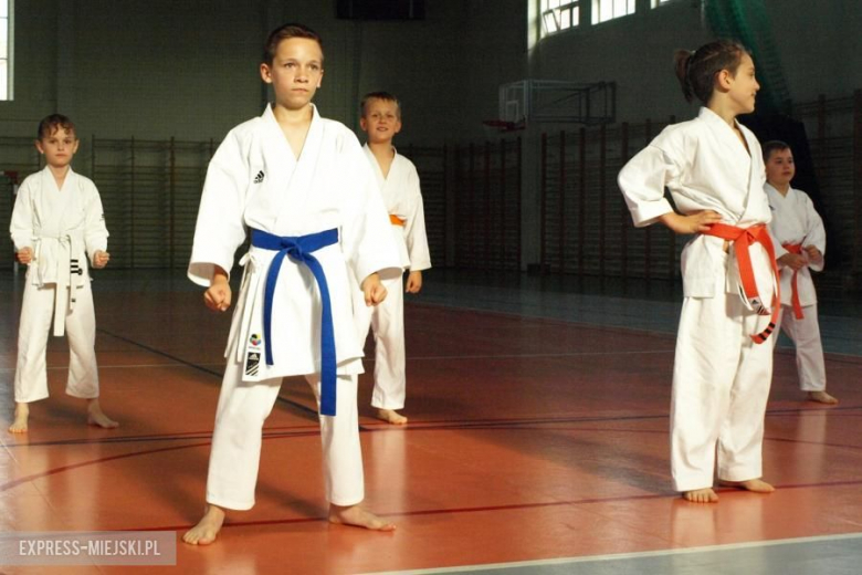 Karate Budokan sekcja Środa Śląska