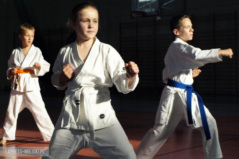 Karate Budokan sekcja Środa Śląska