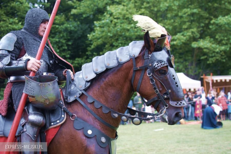 Turniej rycerski w Wojnowicach