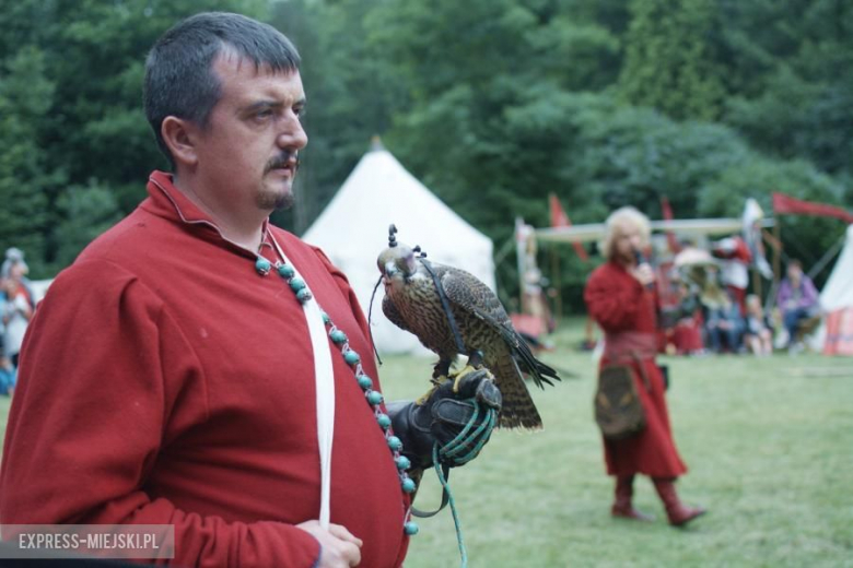 Turniej rycerski w Wojnowicach