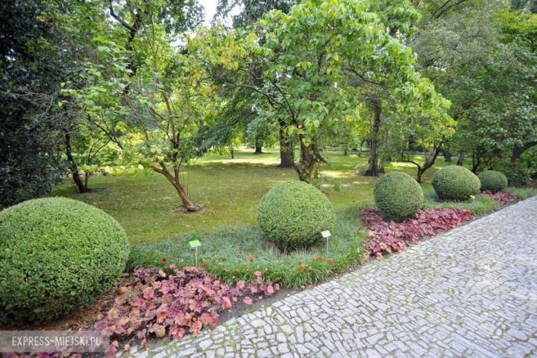 Narodowe czytanie Quo Vadis