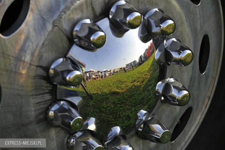 Columna Medica Baja Poland 2016