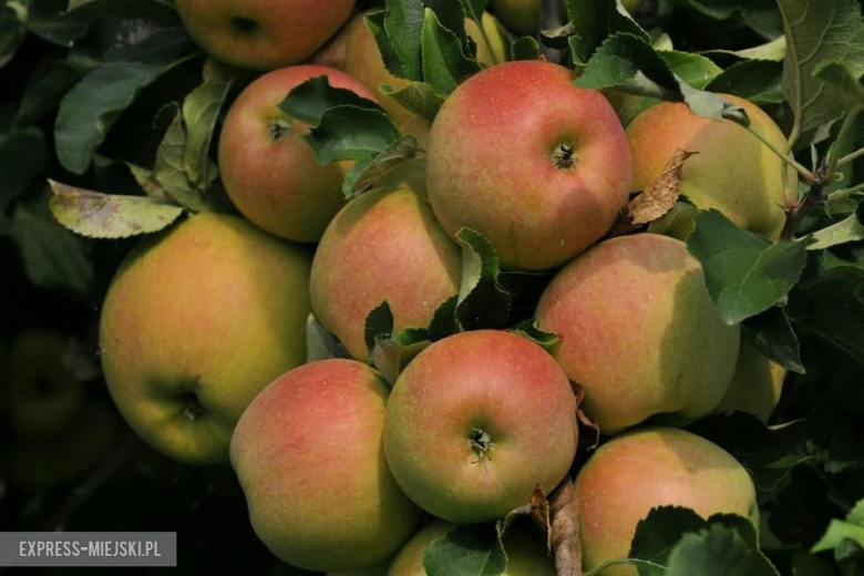 Rajd Nadwiślański 2016