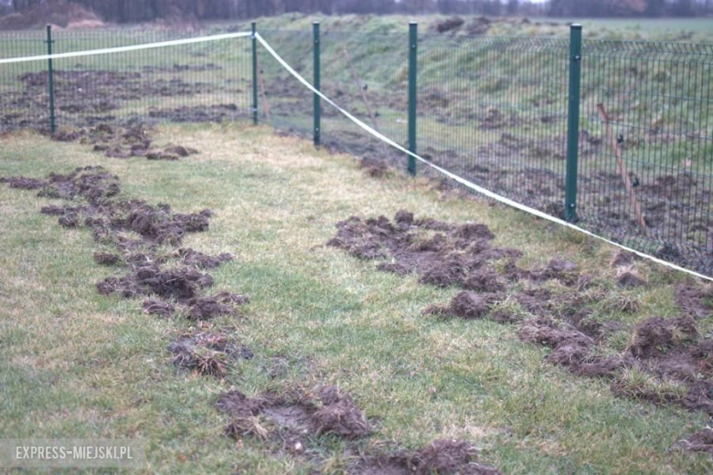 Mieszkańcy sami naprawiają boisko 