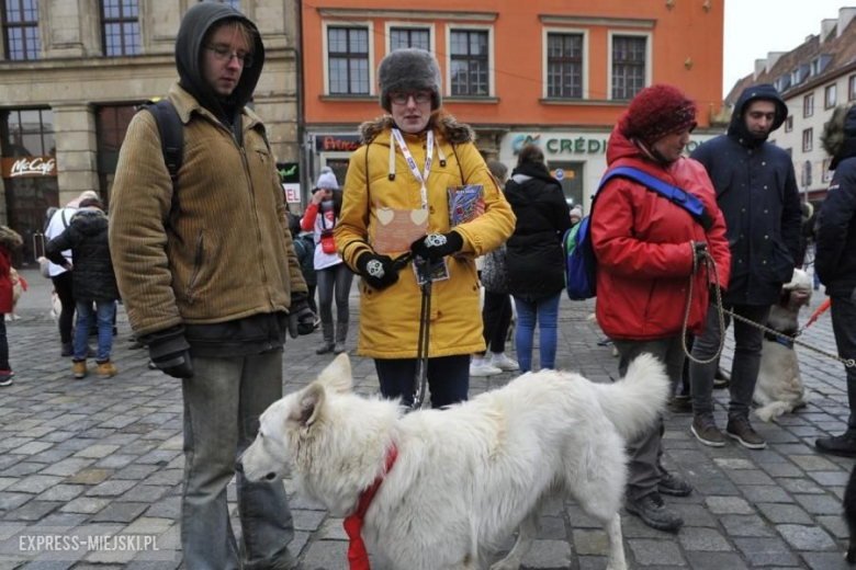 Wielka Orkiestra Świątecznej Pomocy we Wrocławiu