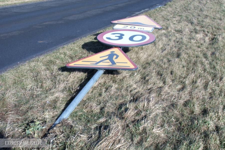 Powalone drzewo koło Karczyc