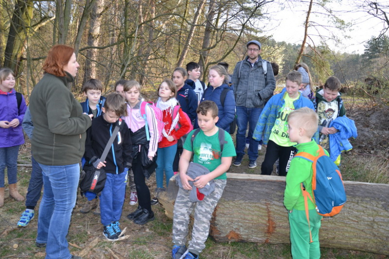 Wycieczka do Mrozowa