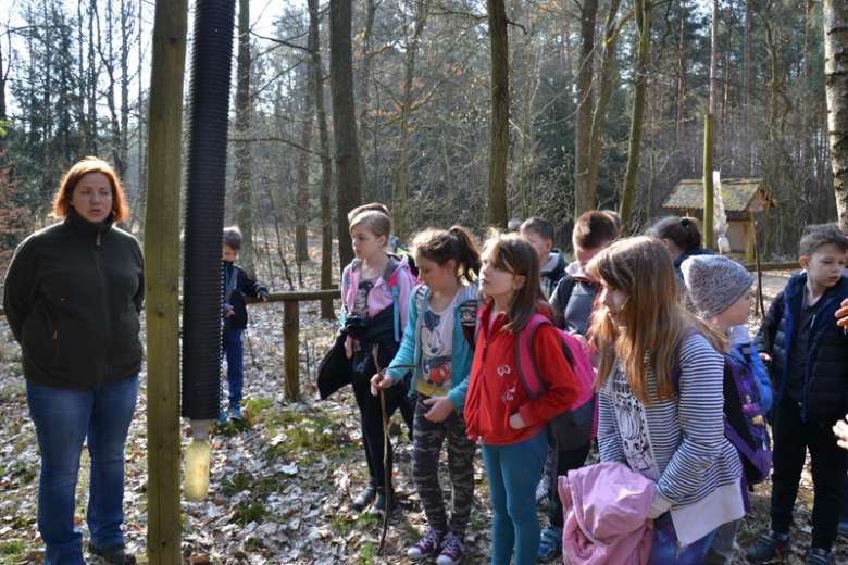 Wycieczka do Mrozowa