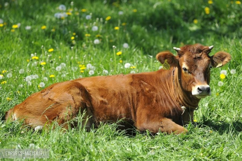 14. Rajd Gdańsk Baltic Cup 2017 - Dzień 1