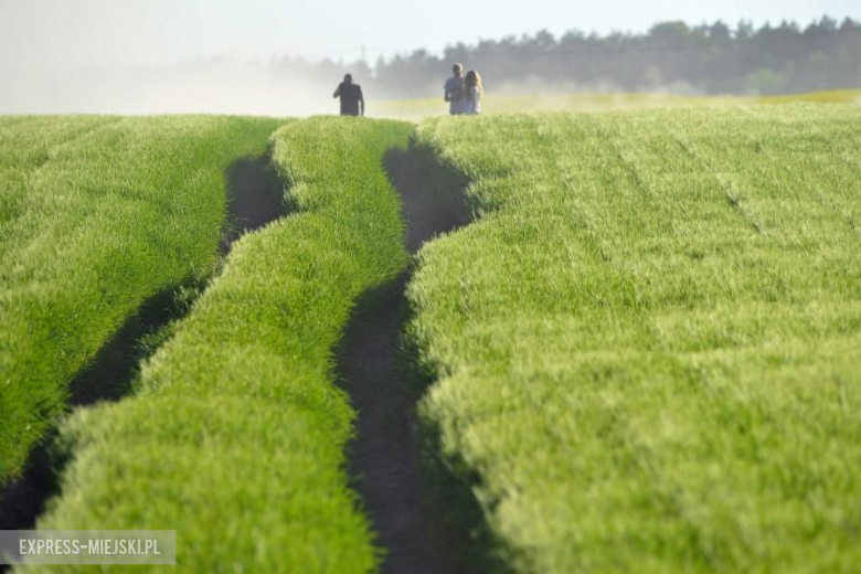 14. Rajd Gdańsk Baltic Cup 2017 - Dzień 1
