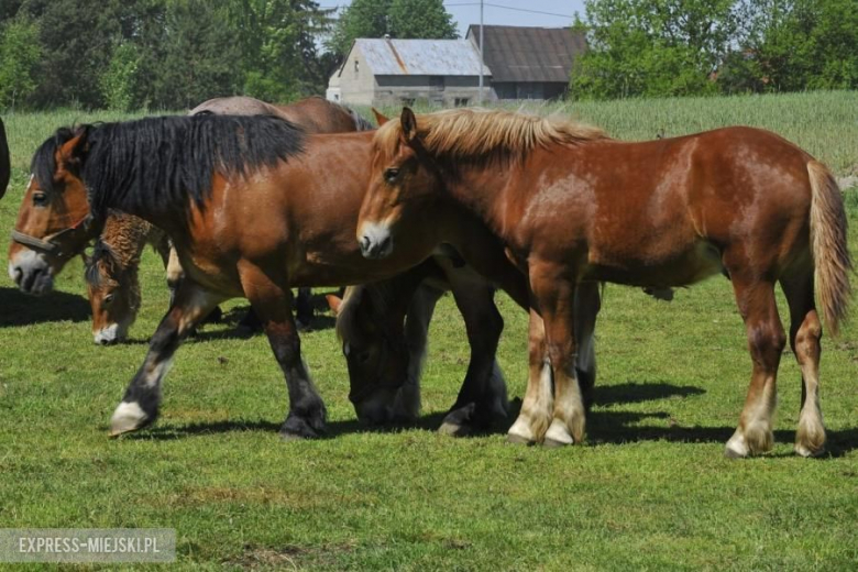 14. Rajd Gdańsk Baltic Cup 2017 - Dzień 2