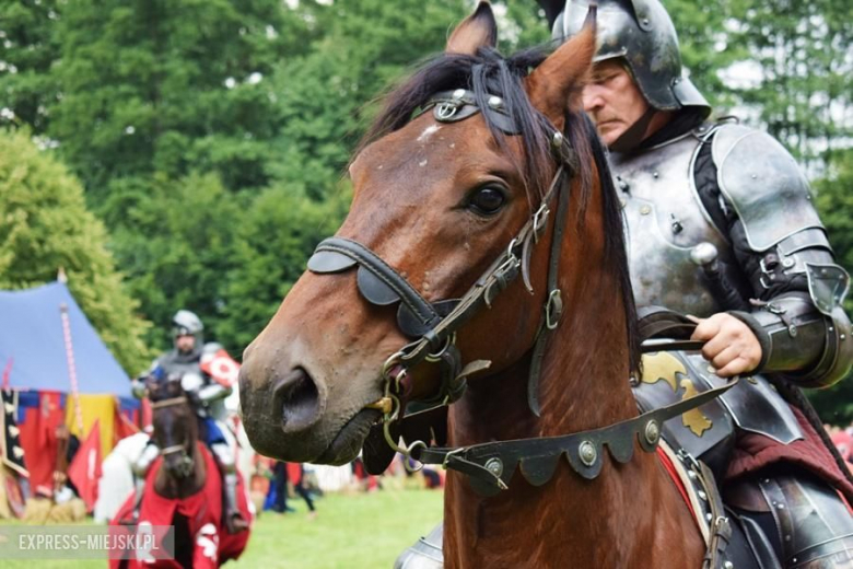 Turniej rycerski w Wojnowicach