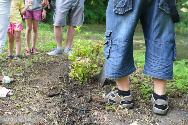 Piknik Rodzinny w Piotrowicach