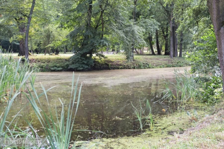 Piknik Rodzinny w Piotrowicach