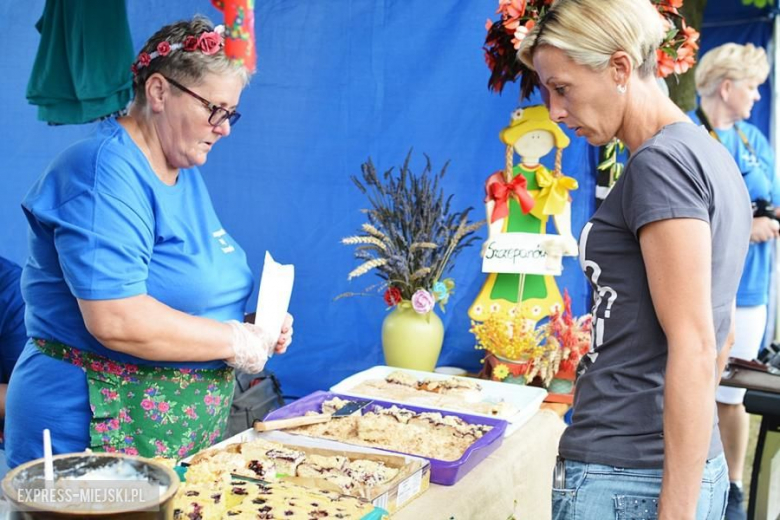 Festiwal muzyczny w Środzie Śląskiej