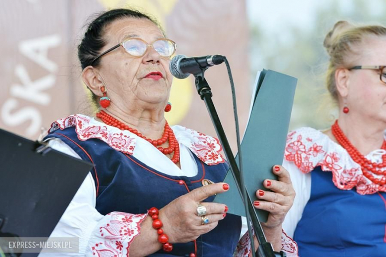 Gminne dożynki w Brodnie