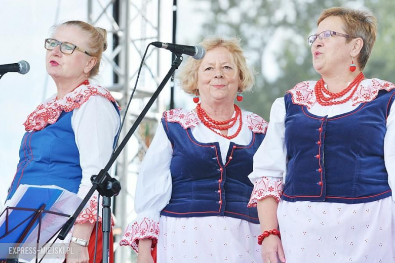 Gminne dożynki w Brodnie