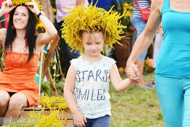 Gminne dożynki w Brodnie