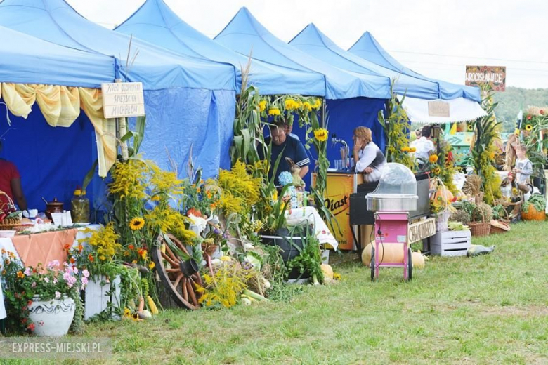 Gminne dożynki w Brodnie