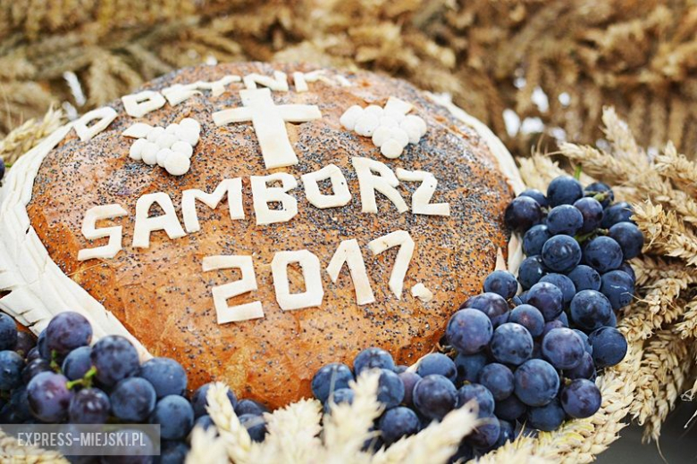 Gminne dożynki w Kostomłotach