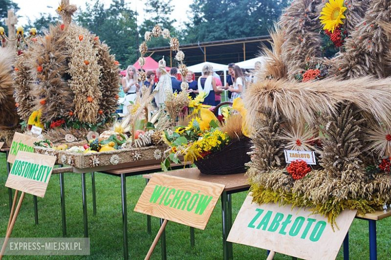 Gminne dożynki w Kostomłotach